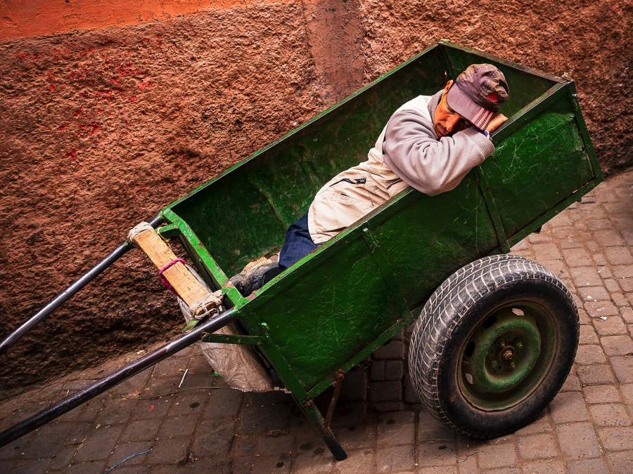 siesta in a wheelbarrow